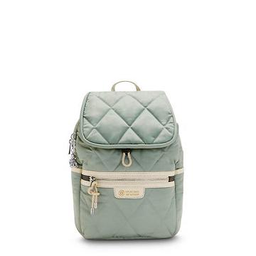 Tender Sage Kipling City Pack Small Fashion Backpacks | SG 1709TC